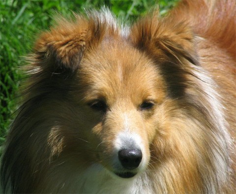 Amy  2 ans