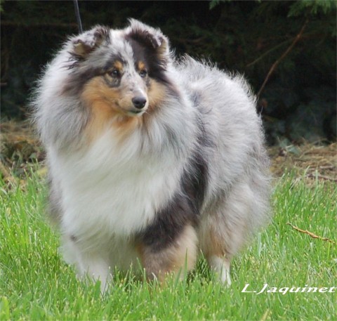 Artemis  10 mois 