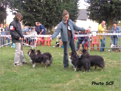 National Breeding 2005 :best breeding group with five of these children