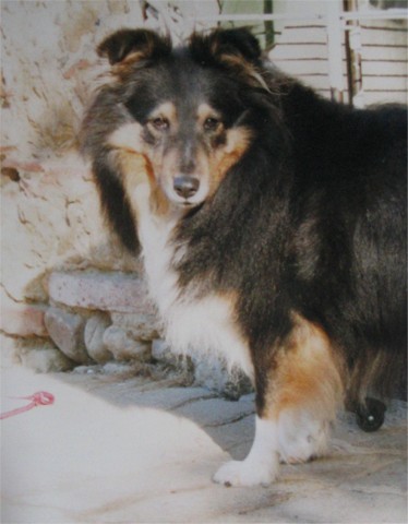 Jessica 7 years