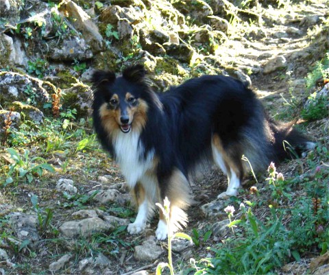  Tara  4 ans