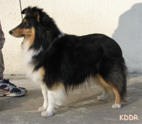 Tiara  3 ans