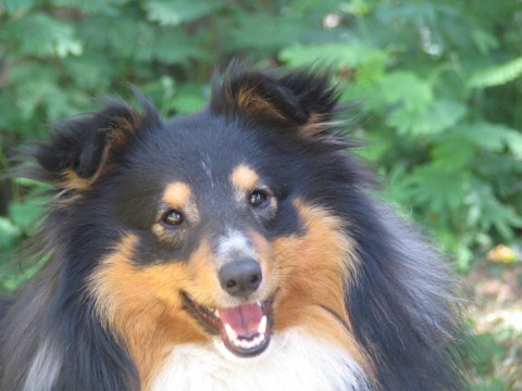 Claude 18 months