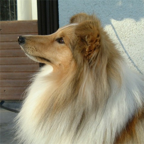 Frodo 19 months